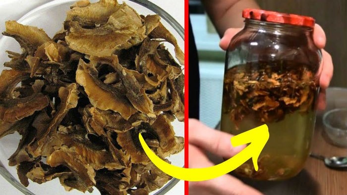 nastoyka-vodka-peregorodki