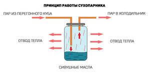 Сухопарник или барботер что лучше