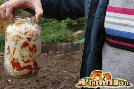 Мухоморы в банке Мухоморы в банке