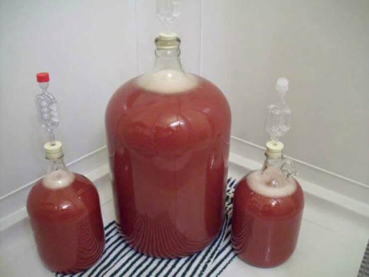 простое домашнее красное вино из рябины