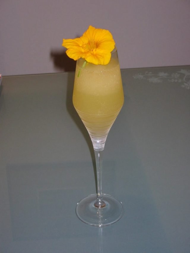 Дерби Дайкири