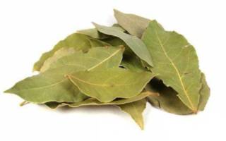 Лавровый лист