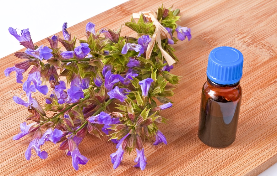 фото настойки шалфея на водке