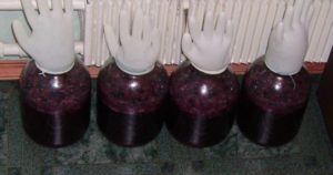 Домашнее сливово-сливовое вино