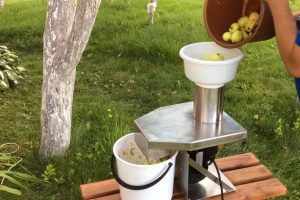 Раздавить яблоки