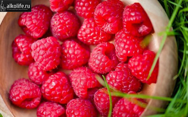 Спелая малина для приготовления настоек