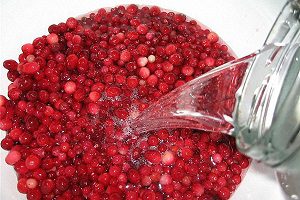 Клюквенная настойка