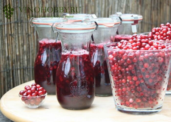 настойка-на-бруснике 17