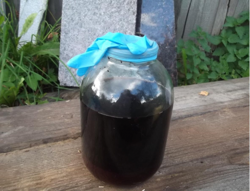 1000 Домашнее вино не бродит: причины, что делать