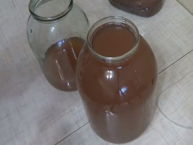 консервированное вино