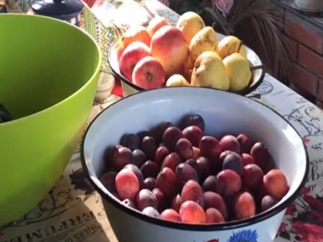 сливы и яблоки для вина