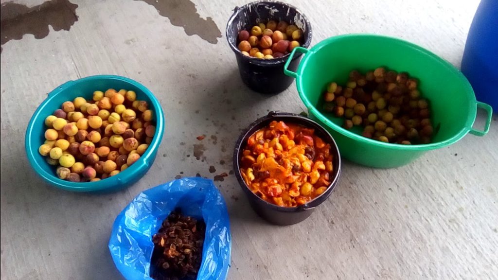 Простой рецепт пюре из абрикосового самогона