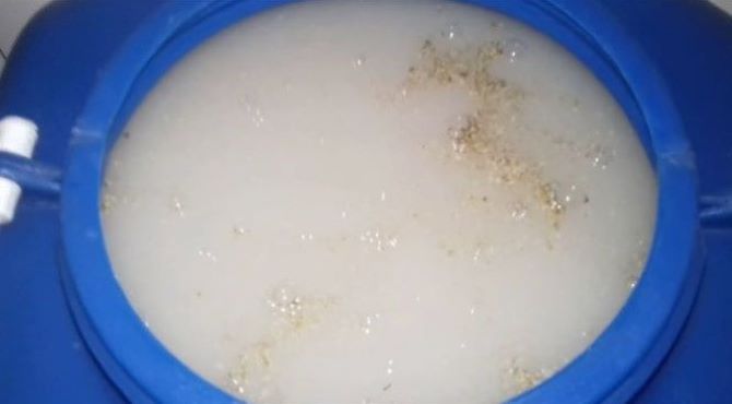 Готовим пюре на Кодзи