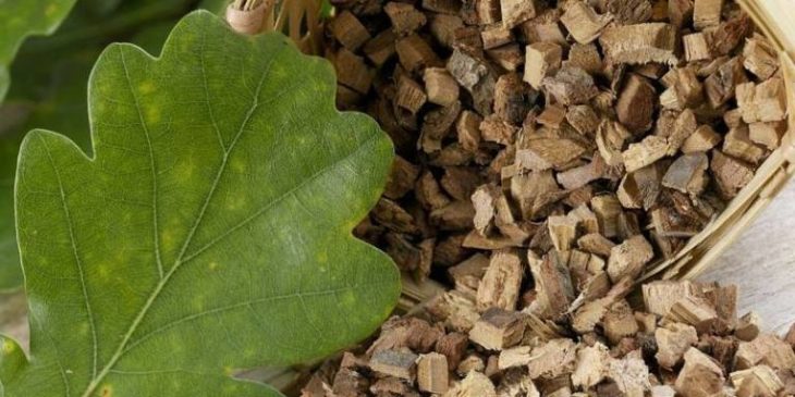 Классический рецепт коры дуба