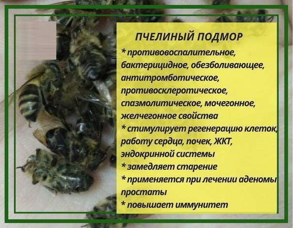 Подмор пчелиный настойка на спирту, водке. Рецепт применения