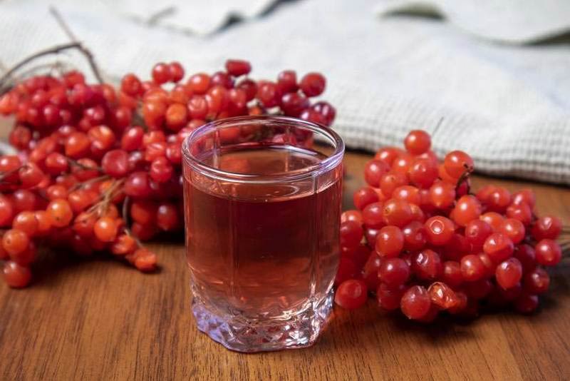 лунный свет на калине