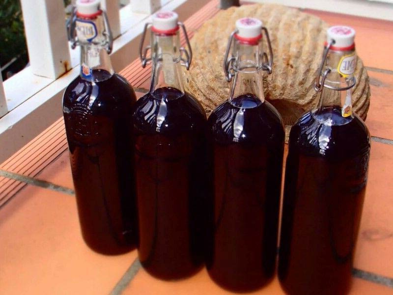 выдержка виноградного вина Изабелла