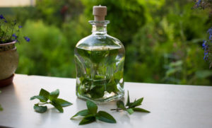 Как самому сделать настойку из мяты