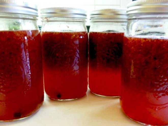 Клюква для алкоголя