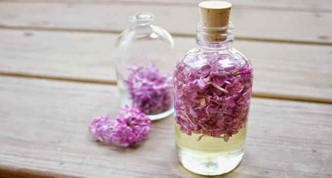 сиреневые цветы на водке