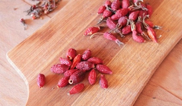 Рецепты настойки шиповника на водке, спирте и самогоне