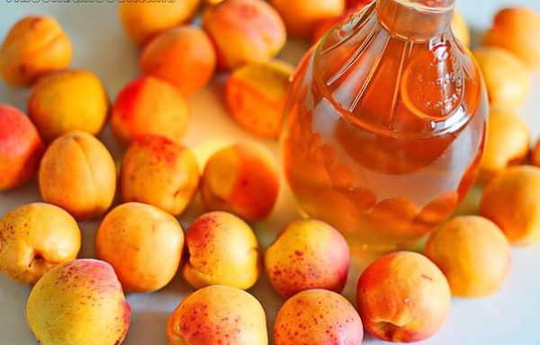 абрикосовый самогон