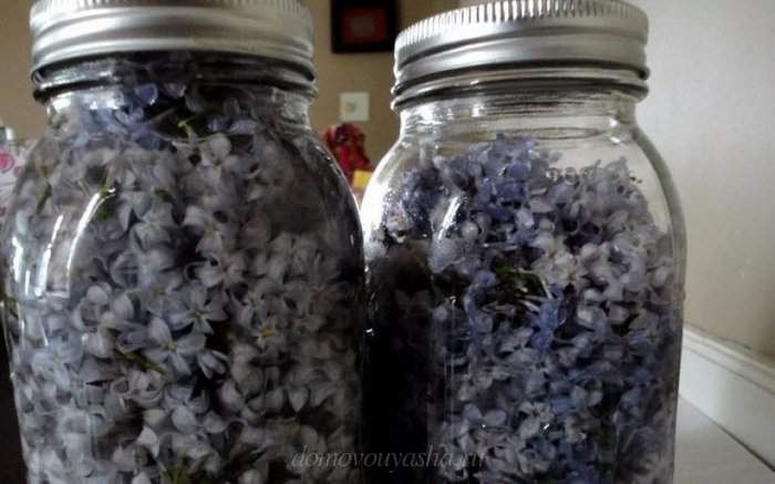 Сирень на водке