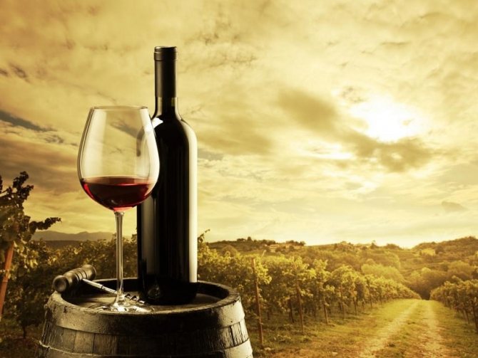 Сомелье, кависты, дегустаторы и критики - это хорошо, но лучше всего пить вино в одиночестве. На здоровье!