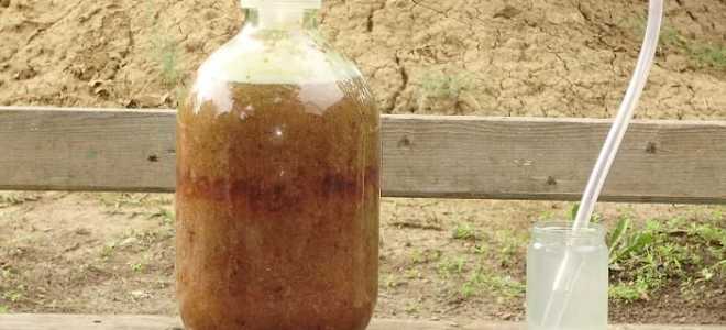 Что делать, если брага очень медленно бродит