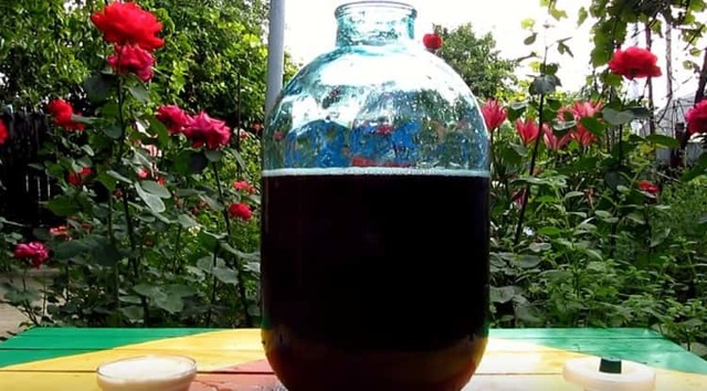 Брага из компота с сахаром и без - рецепт самогона