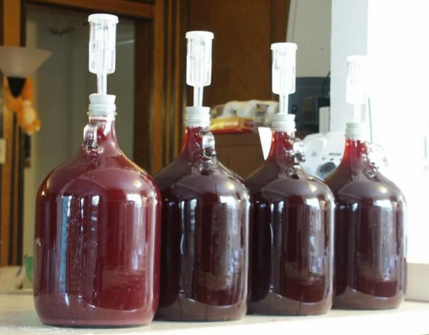 Что делать если брага перестала играть – 6 решений проблемы