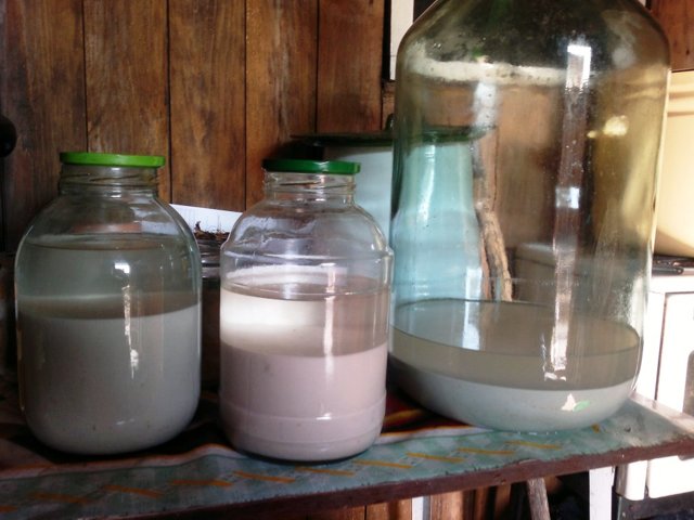 Целесообразность осветления браги из фруктов