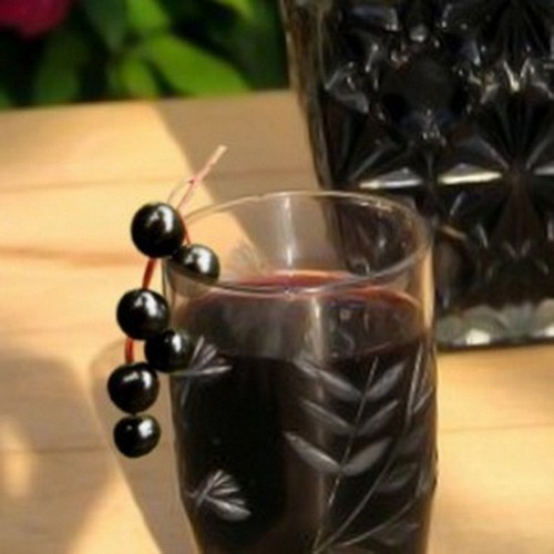 Домашнее вино из черемухи по проверенному рецепту