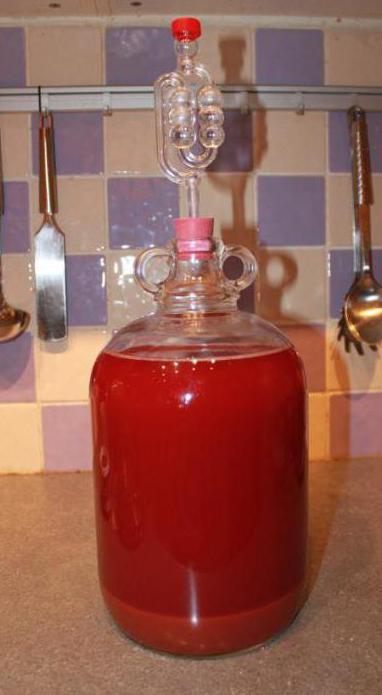 Домашнее вино из шиповника по проверенному рецепту