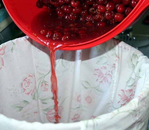 Домашние рецепты вишни (черешни) в вине