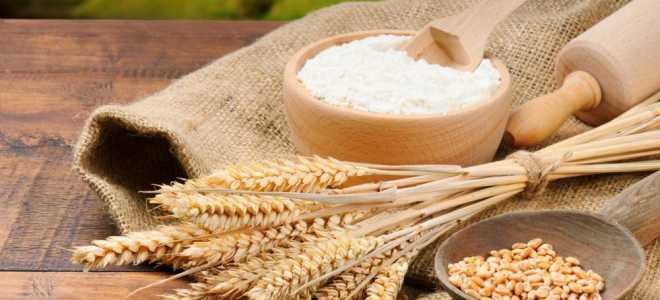 Что такое осахаривание и причём здесь зерновая брага, ферменты и солод