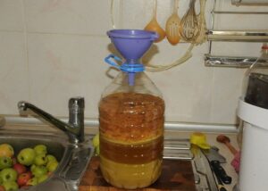 Яблочная брага