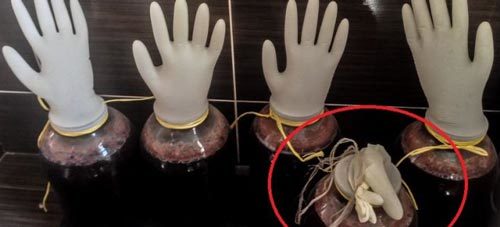 Как определить готовность браги к перегонке – 5 методов проверки