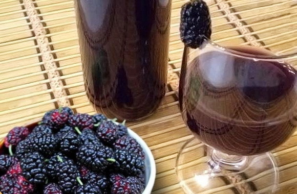 Вино из шелковицы в домашних условиях - рецепт и технология