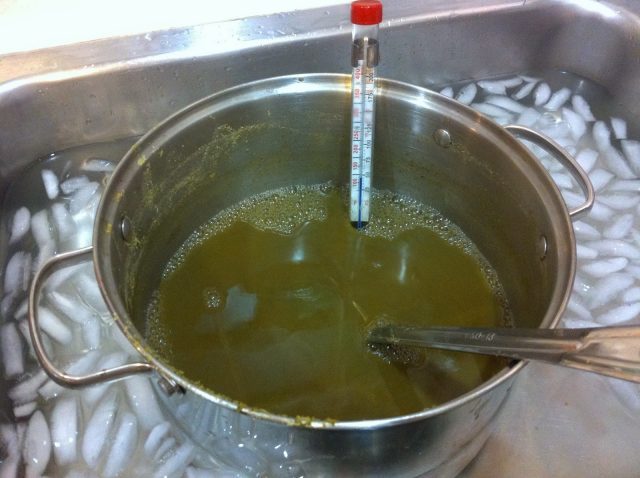 Как узнать крепость сусла (фруктовой браги)