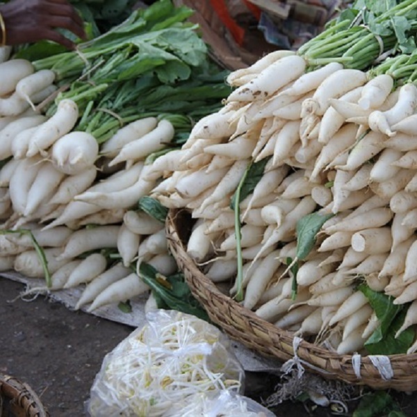 Лучшая емкость для фруктовой браги