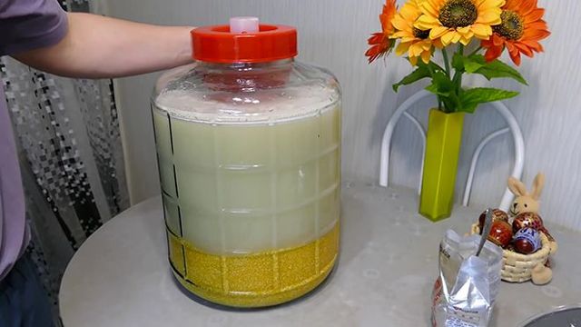 Лучшая емкость для зерновой браги