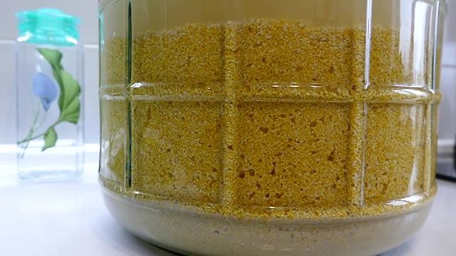 Лучшая емкость для зерновой браги