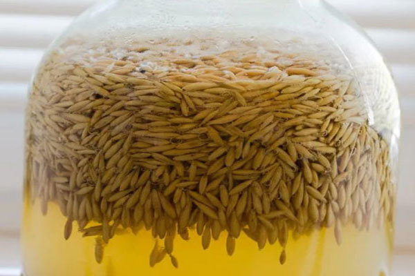 Лучшая емкость для зерновой браги