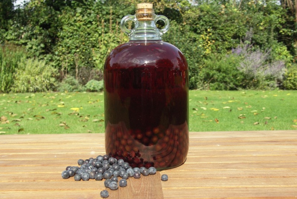 Настаивание терна