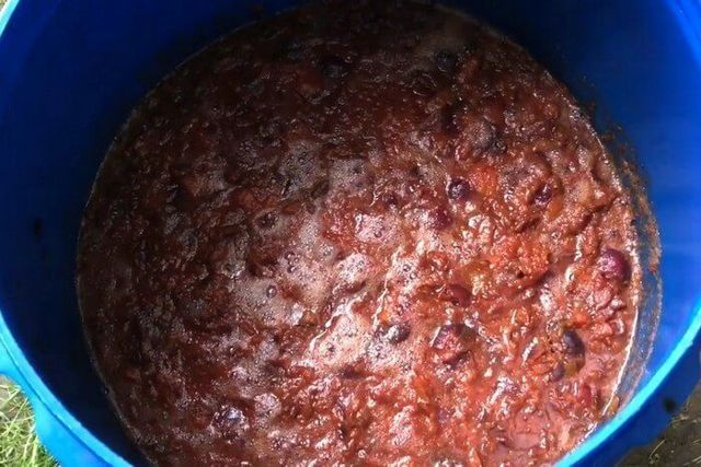 Простой самогон из слив - рецепт браги и перегонка