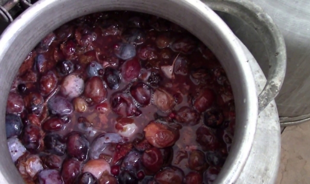 Простой самогон из слив - рецепт браги и перегонка