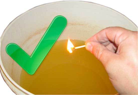 Самогон из ананасов – рецепт браги с сахаром и без