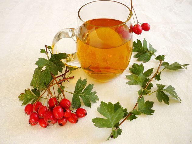 Самогон из боярышника – правильный рецепт браги и перегонка