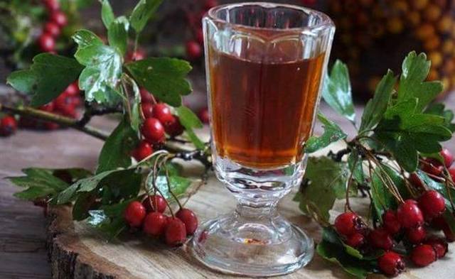Самогон из боярышника – правильный рецепт браги и перегонка
